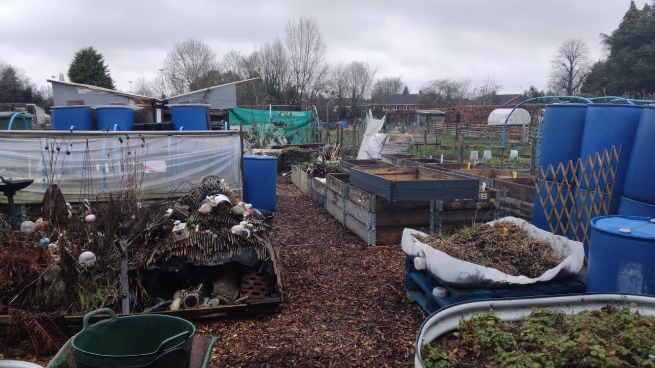 Plot 1 Allotment Gardening Tour ❄️ Winter Jobs On Our Allotments ❄️