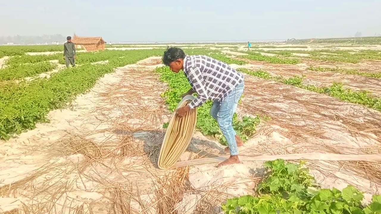 Pani wala water pump engine 5 inch plastic pipe kirloskar ke water pump duwara sichai karta kisan 