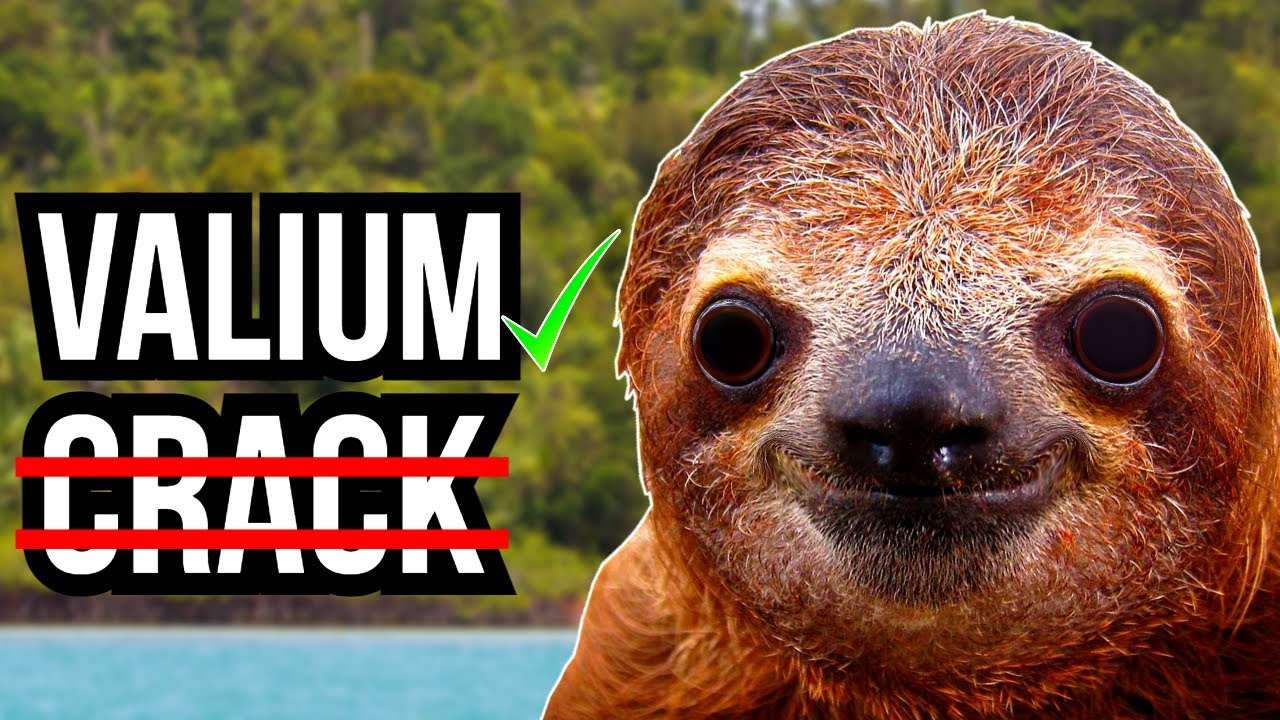 3 Animals That Ingest Poisons And Chemicals To Get High