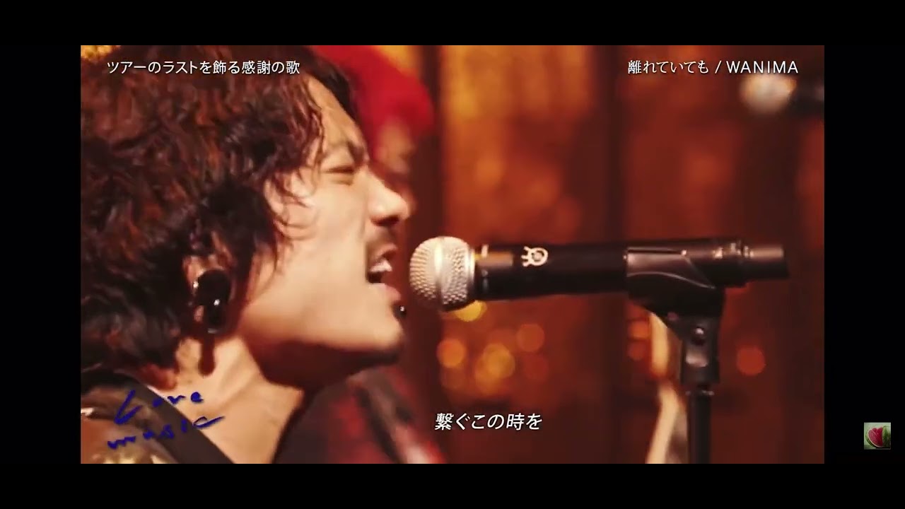 離れていても/WANIMA