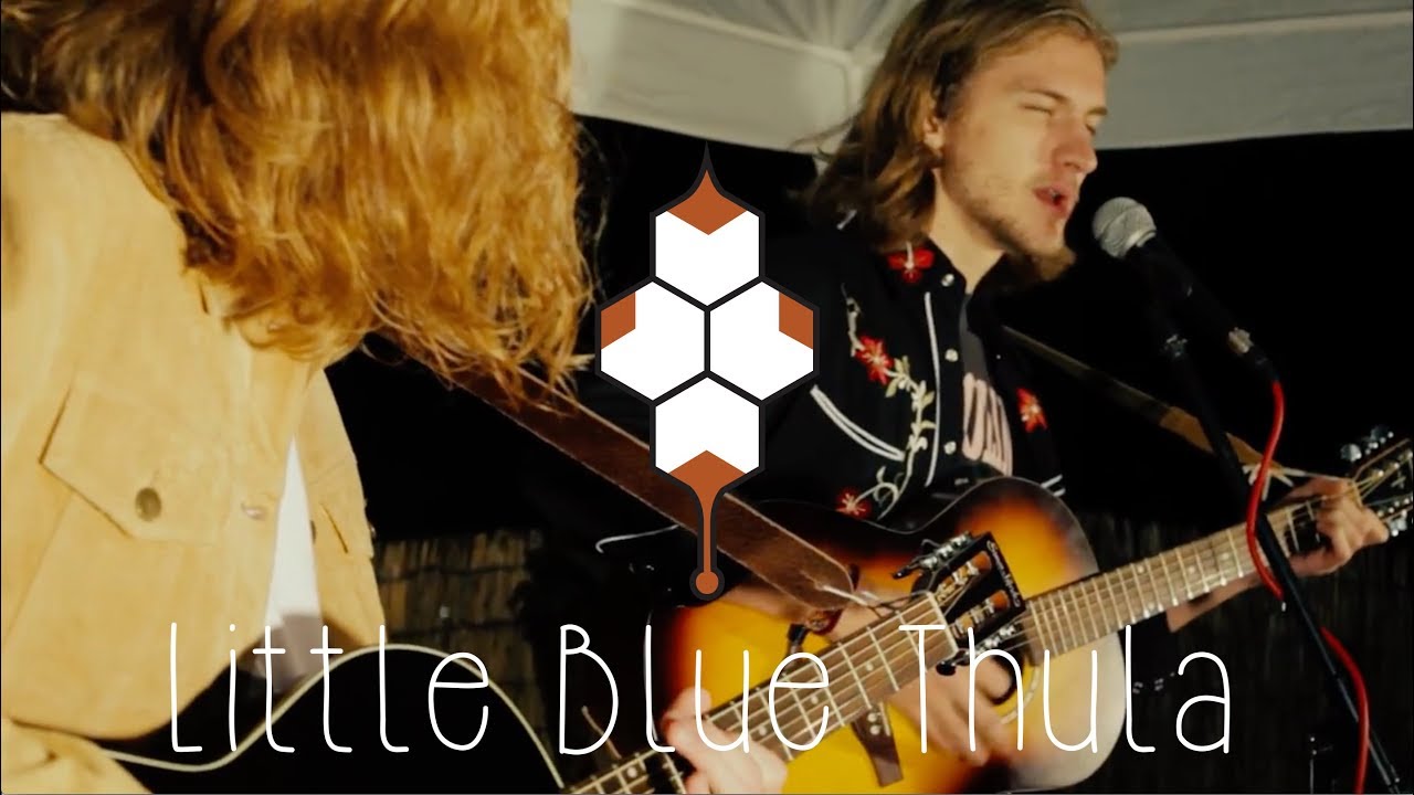 Little Blue Thula - Happiness Don't Seem So Far Away (Live in the Hive)