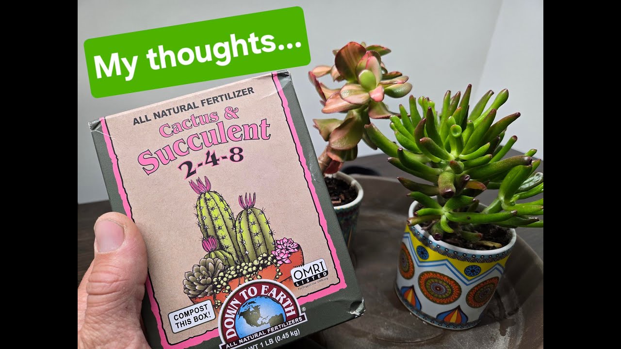 My Thoughts on Down to Earth Cactus and Succulent Fertilizer