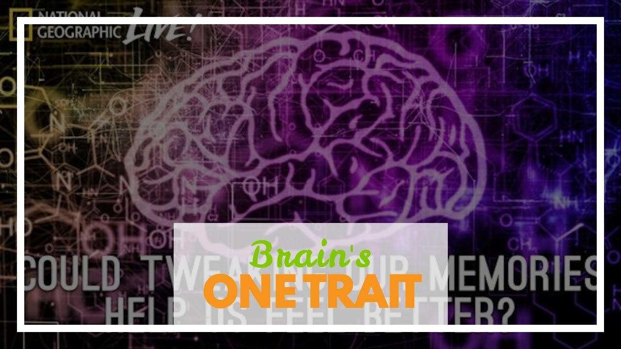 Brain's memory center stays active during 'infantile amnesia'