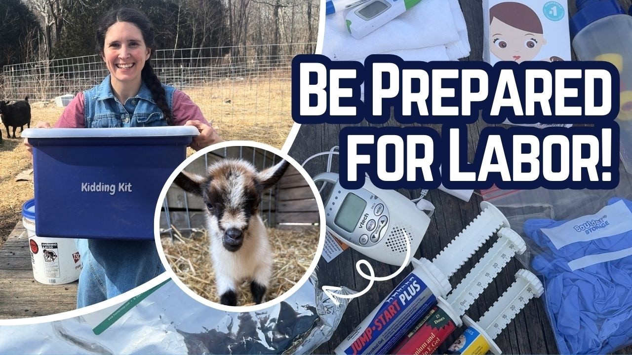 Goat Kidding Kit Essentials | What's in My Kit? | Be Prepared for a Healthy & Safe Delivery!