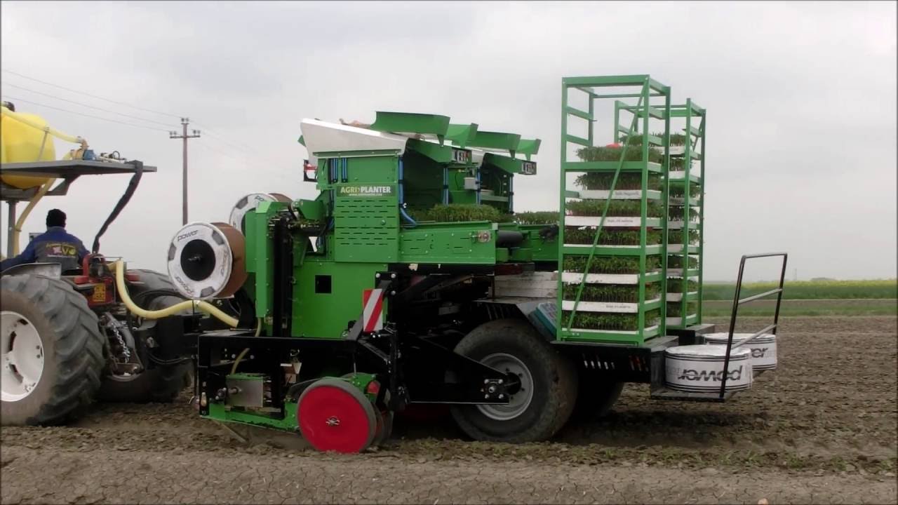 Agriplanter automatic transplanter - 2SP-A - tomatoes