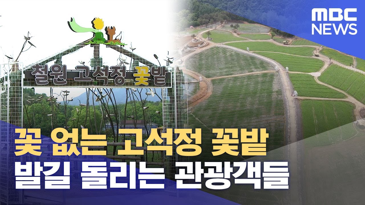 꽃 없는 고석정 꽃밭 발길 돌리는 관광객들 (2025.05.24/뉴스데스크/춘천MBC)