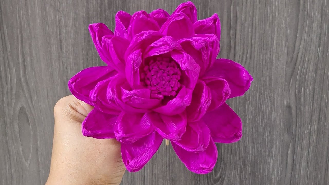 Crepe Paper Flower /DIY Flower Craft
