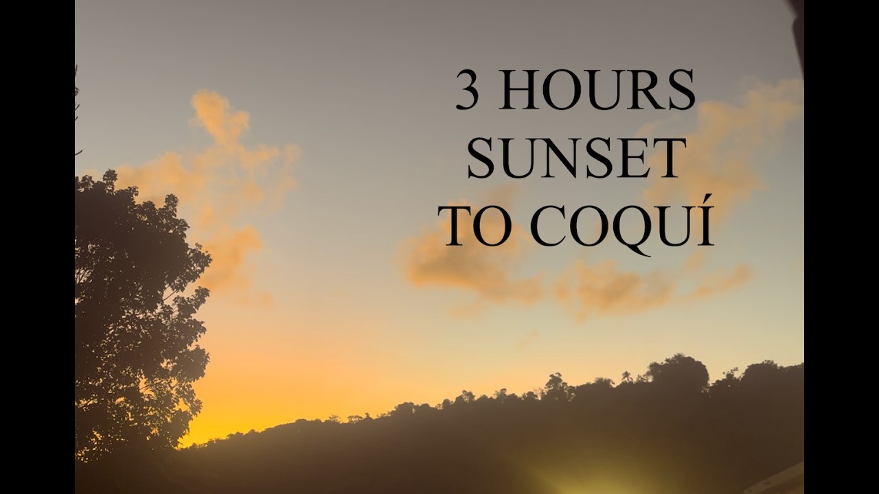 Puerto Rico Sunset to Coquí 🌅🐸 | 3 Hours Natural Night Sounds