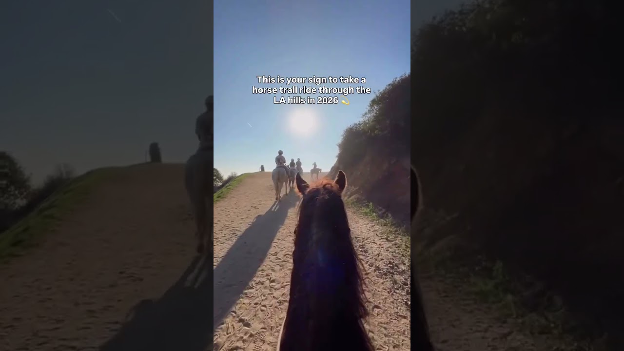 Join us for horse riding in Griffith Park! 🐎 Get 20% OFF. 