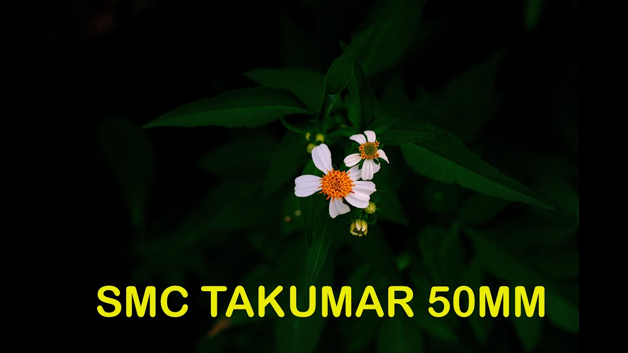 SMC Takumar 50mm F1,4 on FujiFilm X-T3