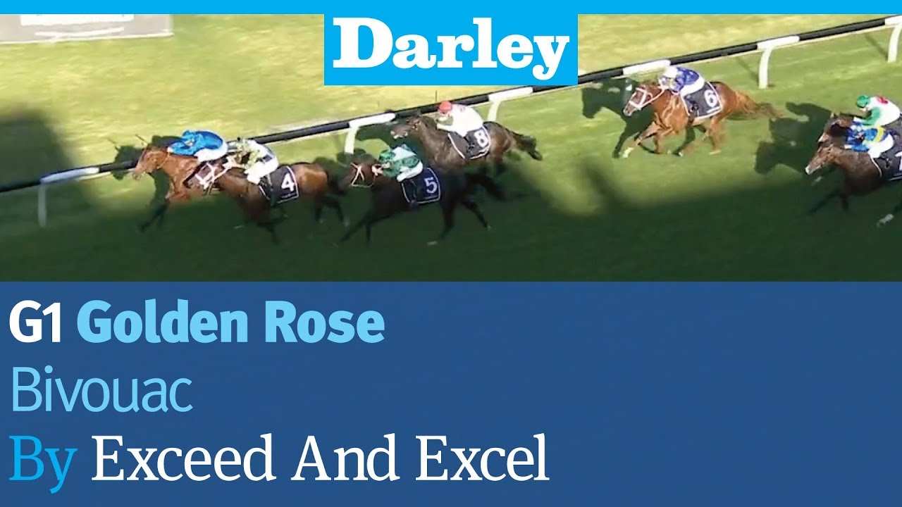 Bivouac by Exceed And Excel wins the G1 Golden Rose Stakes at Rosehill