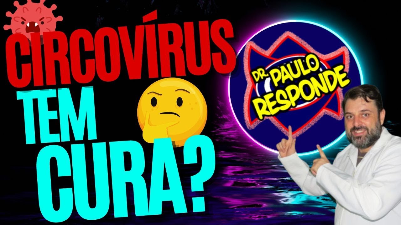 CIRCOVÍRUS TEM CURA? DR PAULO RESPONDE!