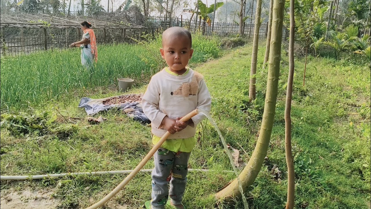 Desi village Vlog-2