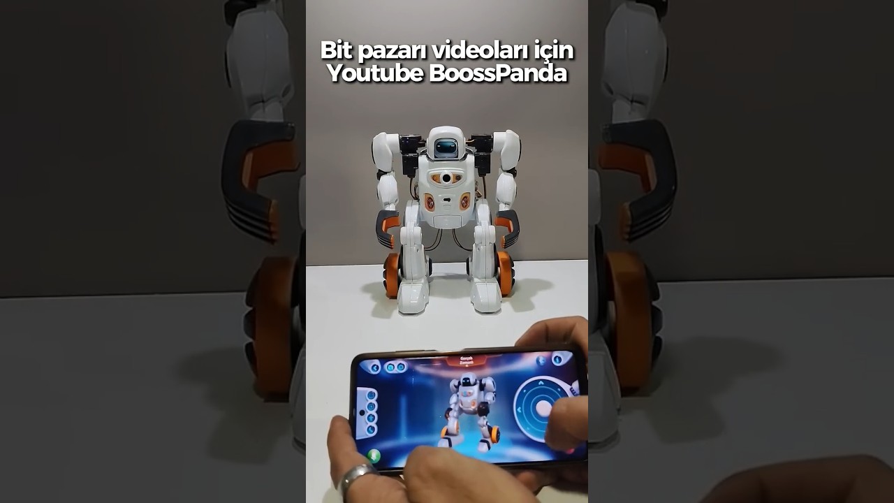 Buca bit pazarından 350TLye hareketleri taklit eden bir boks robotu aldık restore ve test ediyoruz.