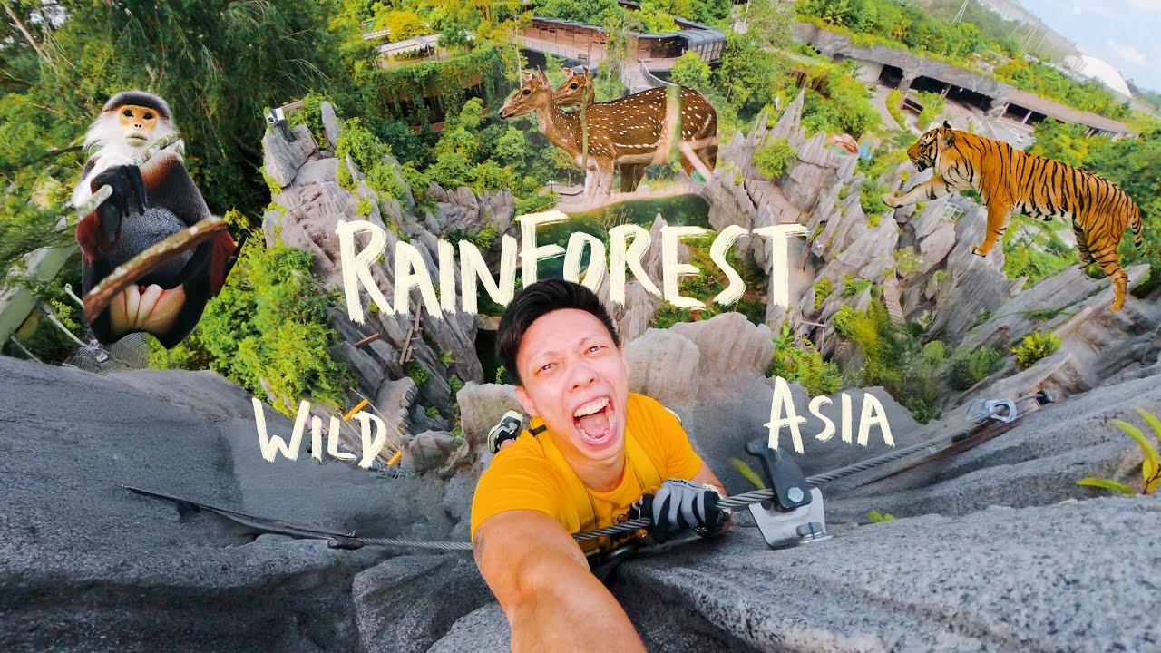 The BEST ZOO in the world just got wilder | Rainforest Wild ASIA