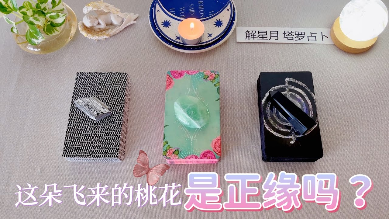 🕵🏻‍♀️🕵🏻‍♂️这朵桃花是正缘吗💖桃花能量大检测✔塔罗占卜～来自宇宙给你的爱情指引😇