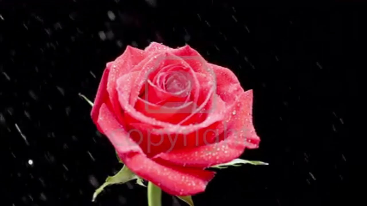 Lope Balaguer - Cuando Llueve