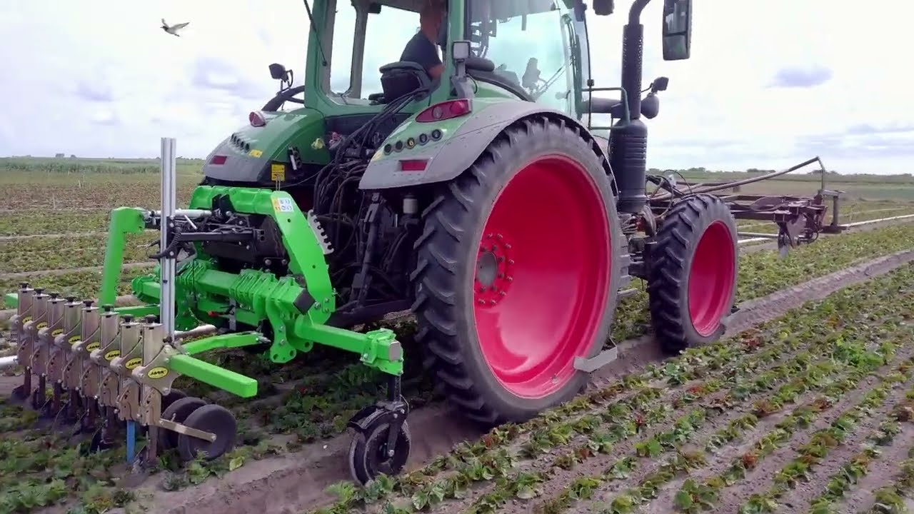 A.F. Kolken & Zn aan het werk met hun nieuwe Cavalleretti camera gestuurde schoffelmachine.