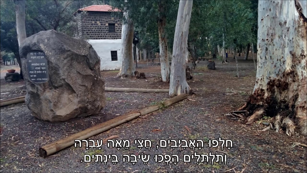 שיר עד - חורשת האקליפטוס - מילים ולחן: נעמי שמר | ביצוע: הדסה סיגלוב, 1969 - Hadassah Sigalov
