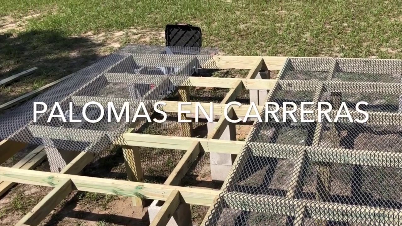COMO FABRICAR UN PALOMAR