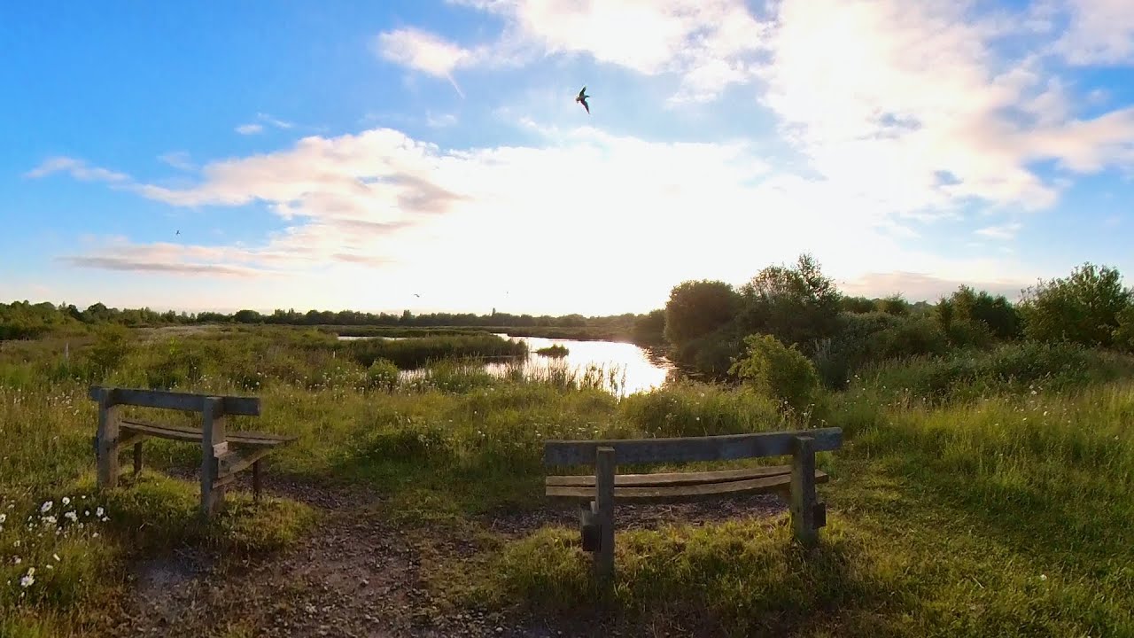 Nature Walking Tour in a Lakeside Reserve, Bird Sounds 4K UK Countryside No Talking ASMR Part 2