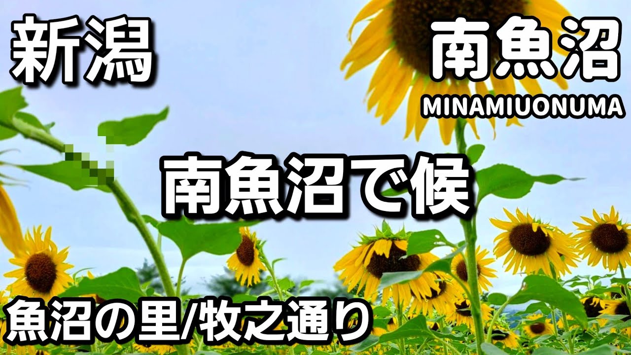 【新潟】南魚沼で候