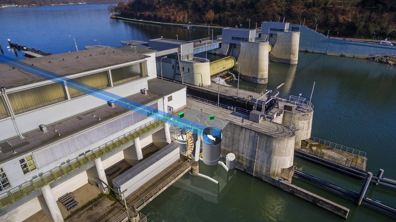 Das Fischliftsystem am Wehr Baldeney - Funktionsweise