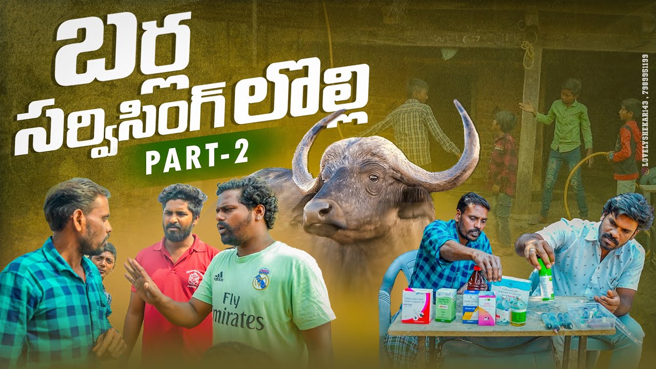 బర్ల సర్వీసింగ్ లొల్లి||villagers duty||village life style||my village comedy||dhoom dhaam channel