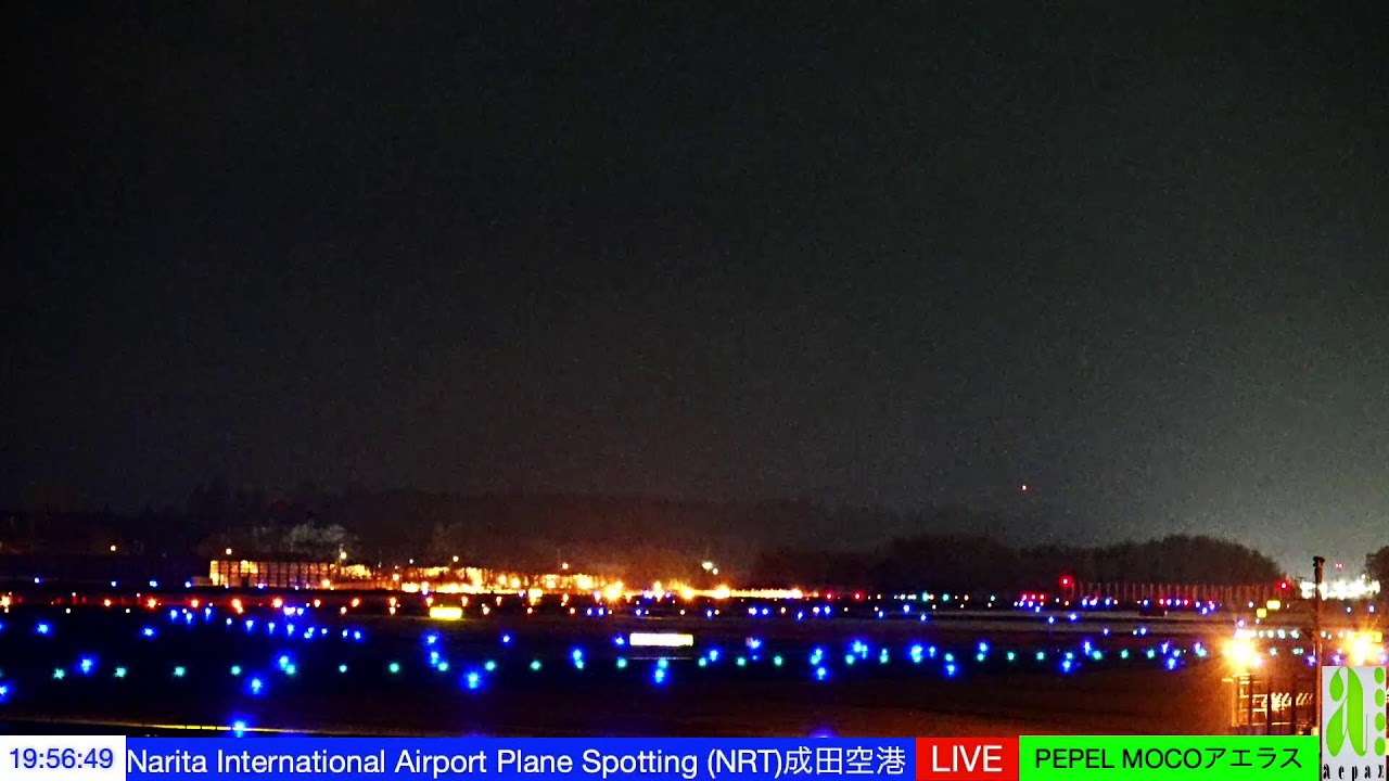NET成田空港20/FEB/2026東雲の丘