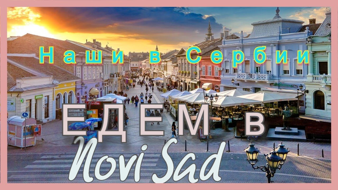 Русские в Сербии - Нови Сад