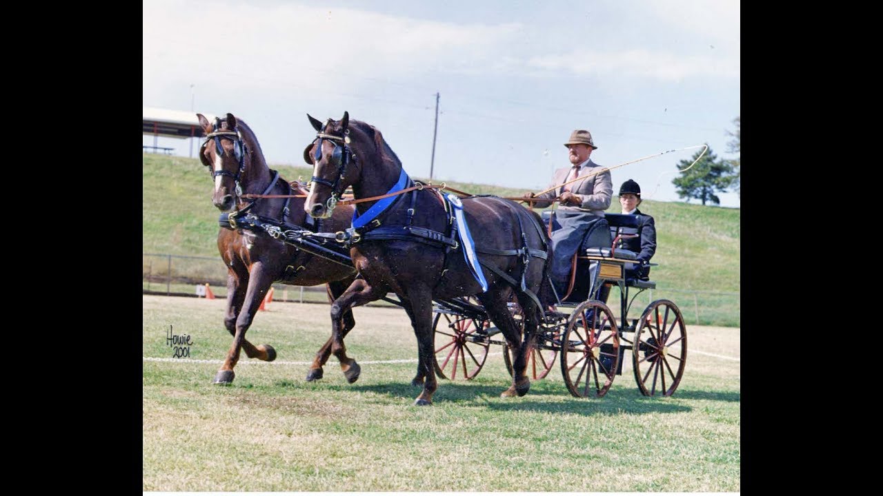 The National Carriage Drive at the Kentucky Horse Park