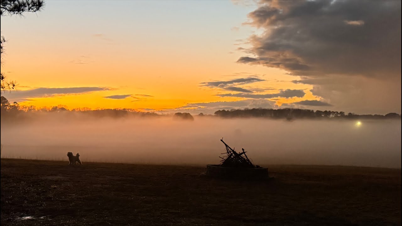 the evening fog after an all day rain.