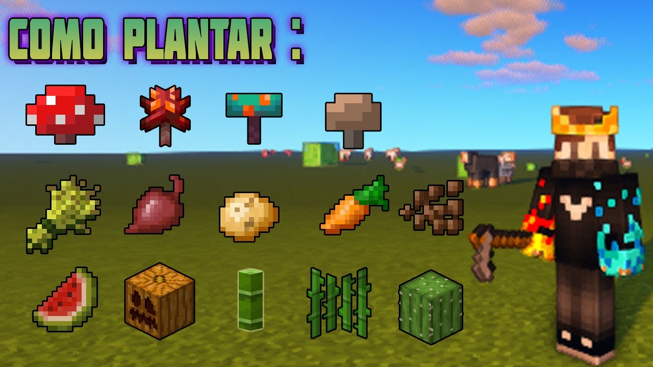 Como se plantan TODAS las SEMILLAS de MINECRAFT