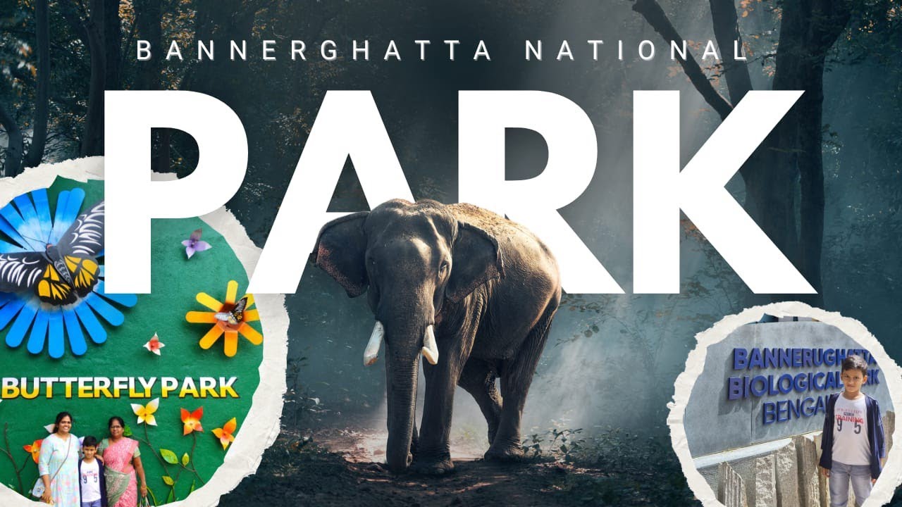 A Day at Bannerghatta National Park | Safari, Zoo & Nature Escape
