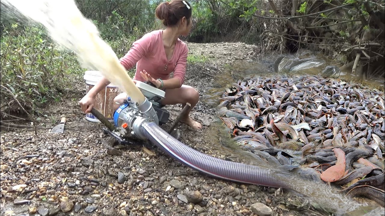 Catch fish | Using pumps, pumping water outside the natural lake, catching many big fish Ep03