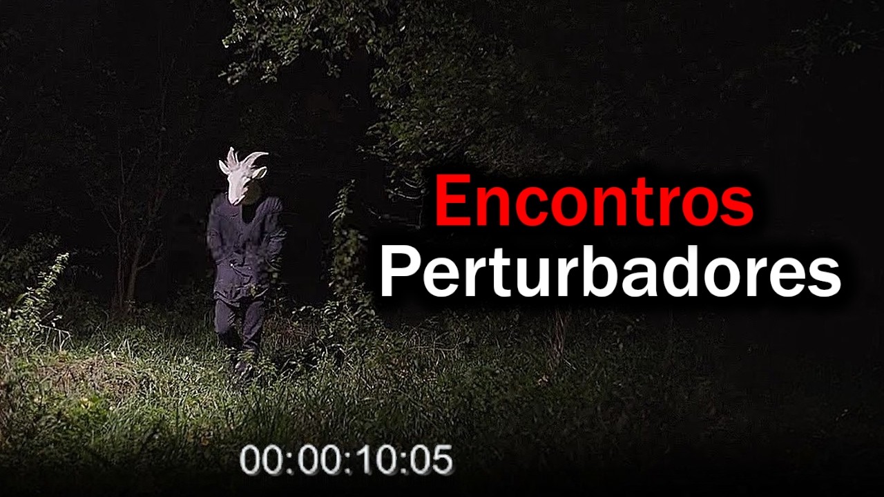 Encontros PERTURBADORES em Florestas 02