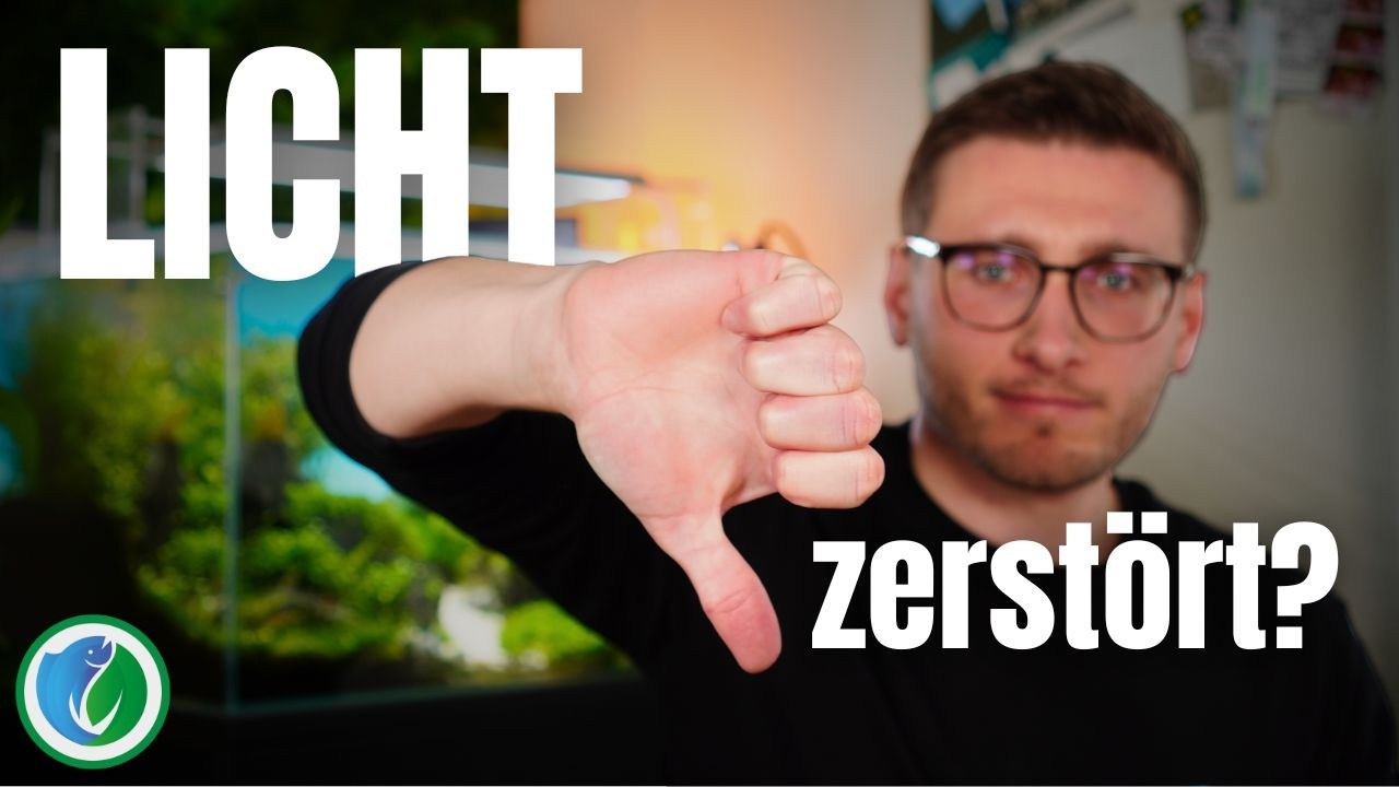 5 fatale Fehler bei der Beleuchtung deines Aquariums