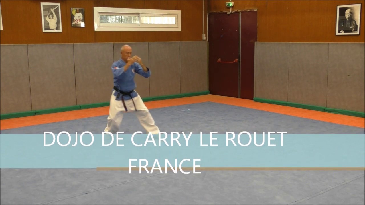 KARATE NANBUDO KATA SHIN TAJIMA