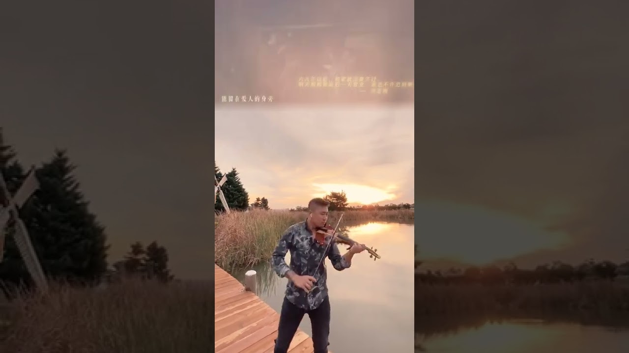 人世间主题曲 - 雷佳 - 小提琴版 - Darioviolin - violin version