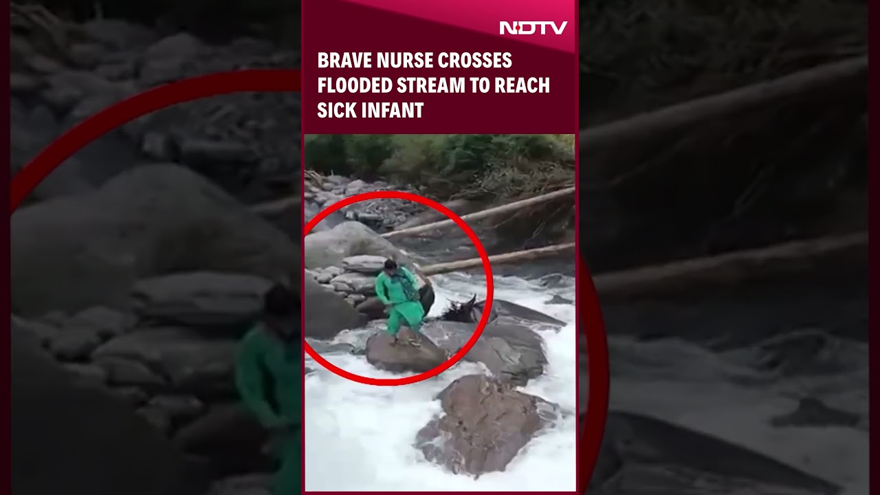 Himachal Pradesh Flood | Brave Nurse Crosses Flooded Stream To Reach Sick Infant in Himachal Pradesh