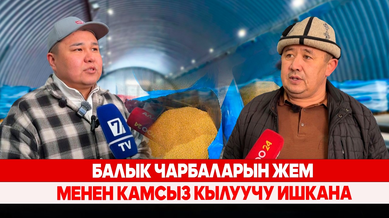 Балык чарбаларын жем менен камсыз кылуучу ишкана