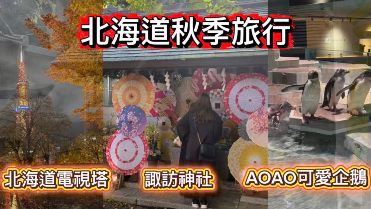 《北海道札幌一日散策》電視塔夜景 × 諏訪神社 × AOAO水族館 × 大通地下街完整攻略！