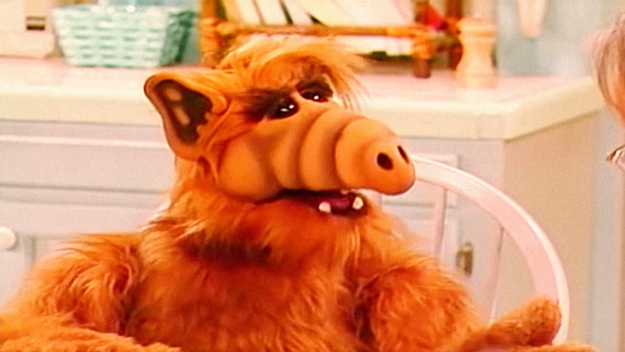 Alf se vuelve Adicto a la Apuestas - ALF CAPITULOS COMPLETOS