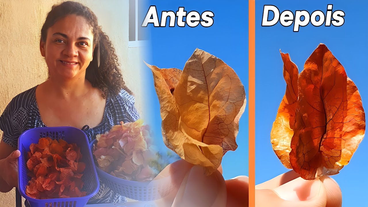 Como pintar Bougainvillea/Primavera | Decorando Com arte