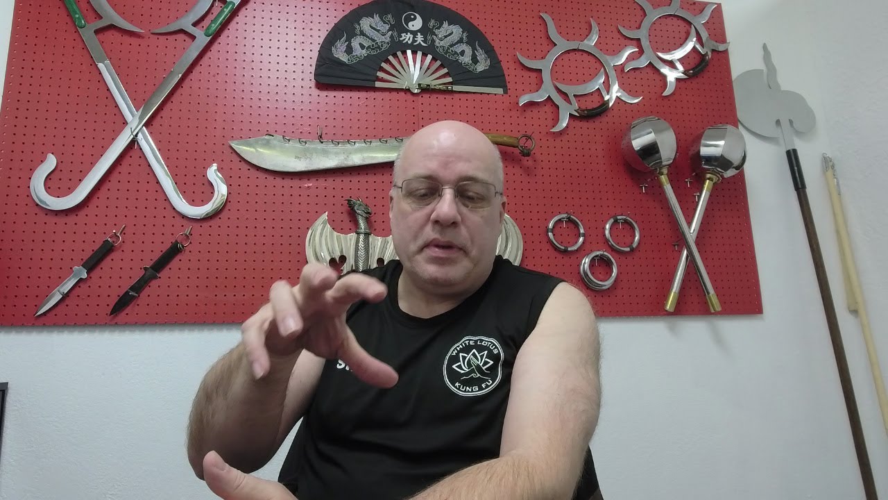 This Is The Secret To Getting The Best Kung Fu Training