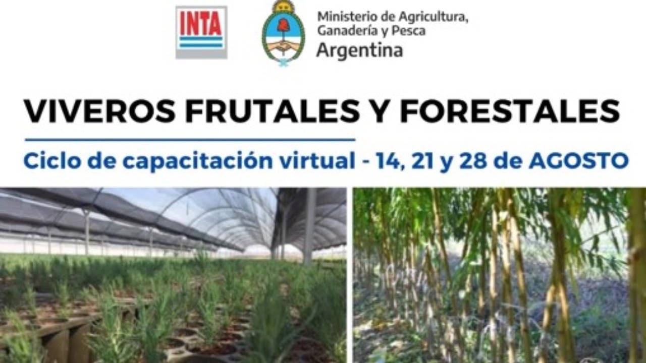 1° Capacitación sobre Viveros Frutales y Forestales