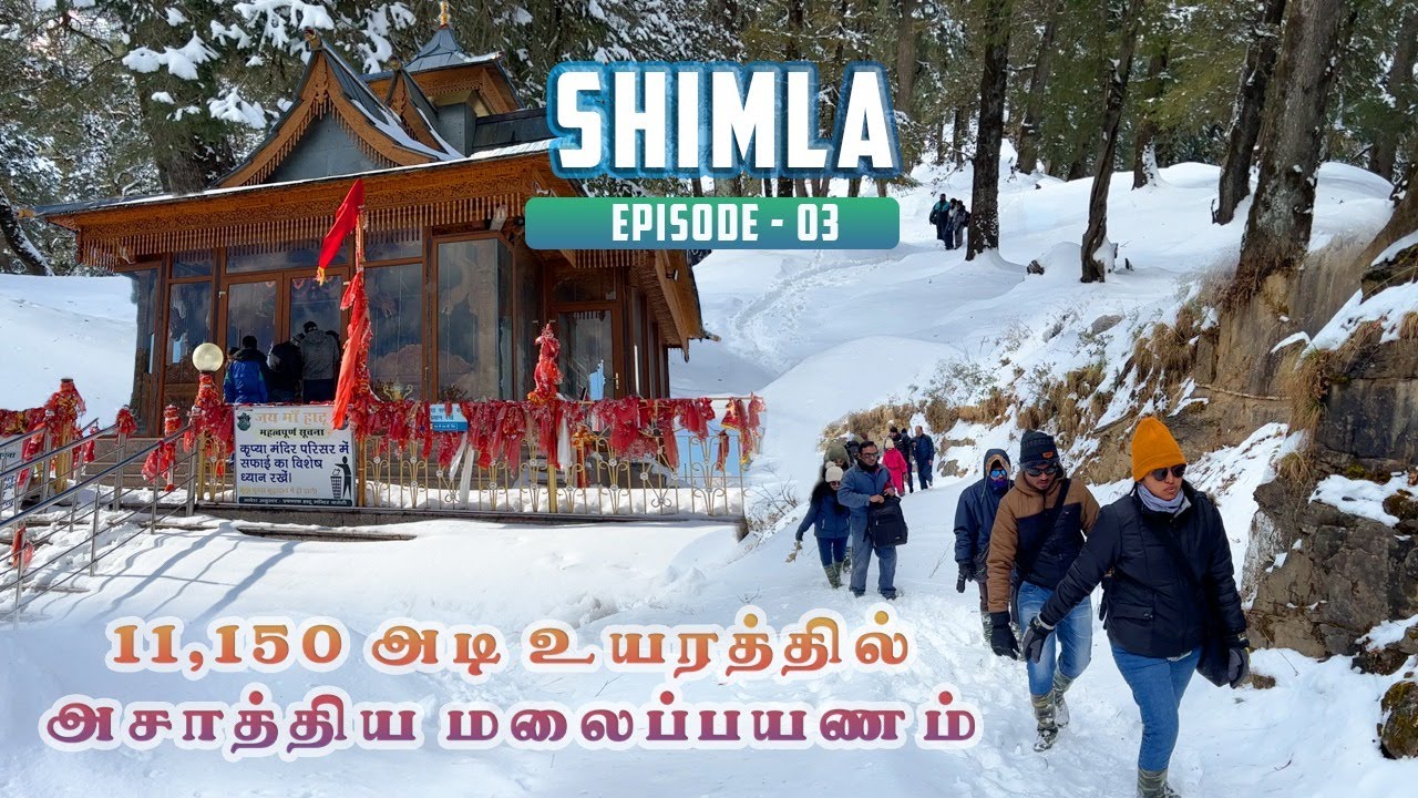 நர்கந்தா ஸ்னோ ட்ராக் | Narkanda Hatu snow trek| Tamil