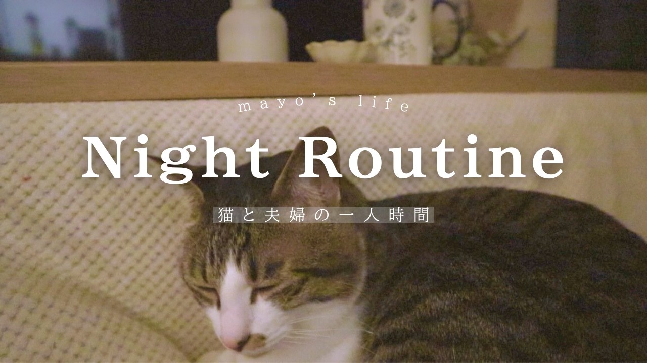 【Night Routine】在宅勤務夫婦のナイトルーティーン🌙猫と一緒に一人時間を楽しむ