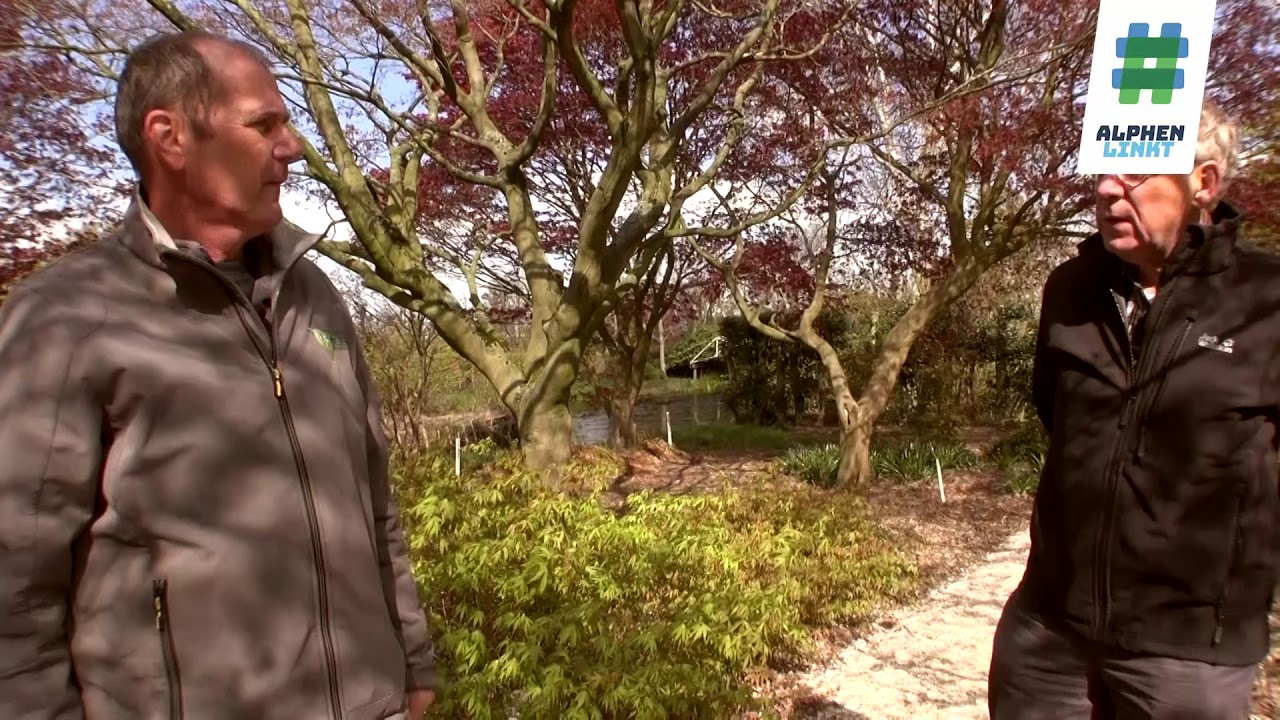 #AlphenRecreëert | Plantentuin Esveld