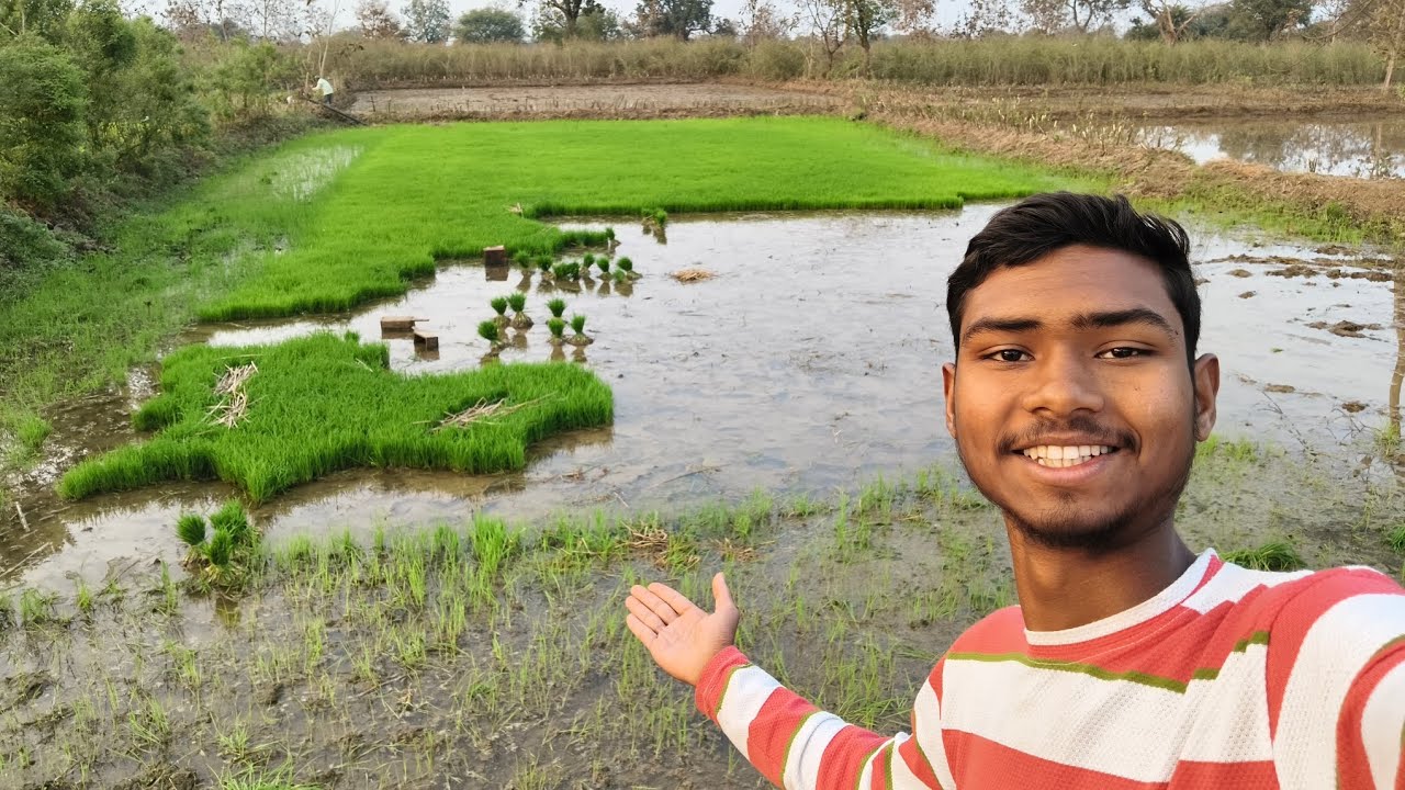 Dhaan Ki Buvai Ho Gayi Shuru 🌾 Day 192/500